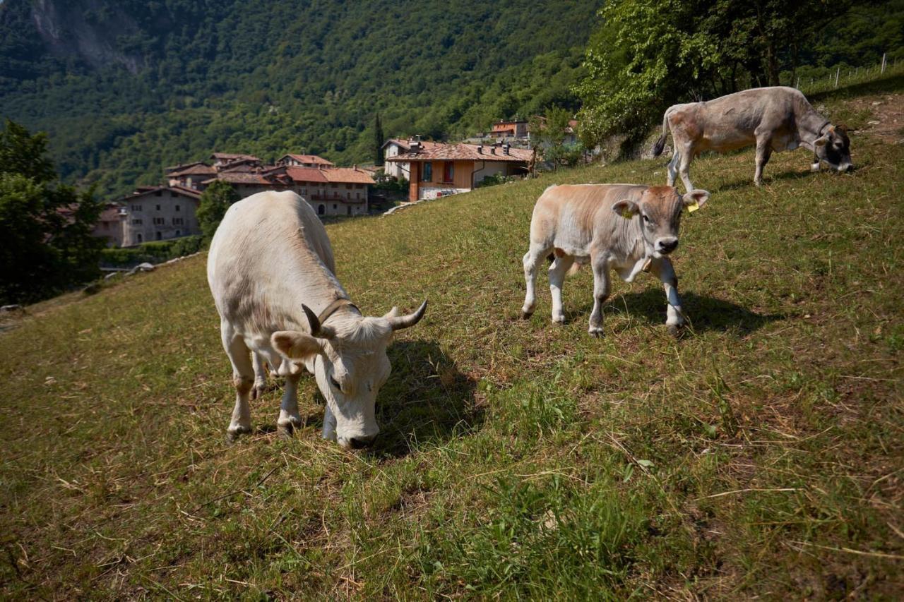 Le Terre Di Gu Villa Tenno Luaran gambar